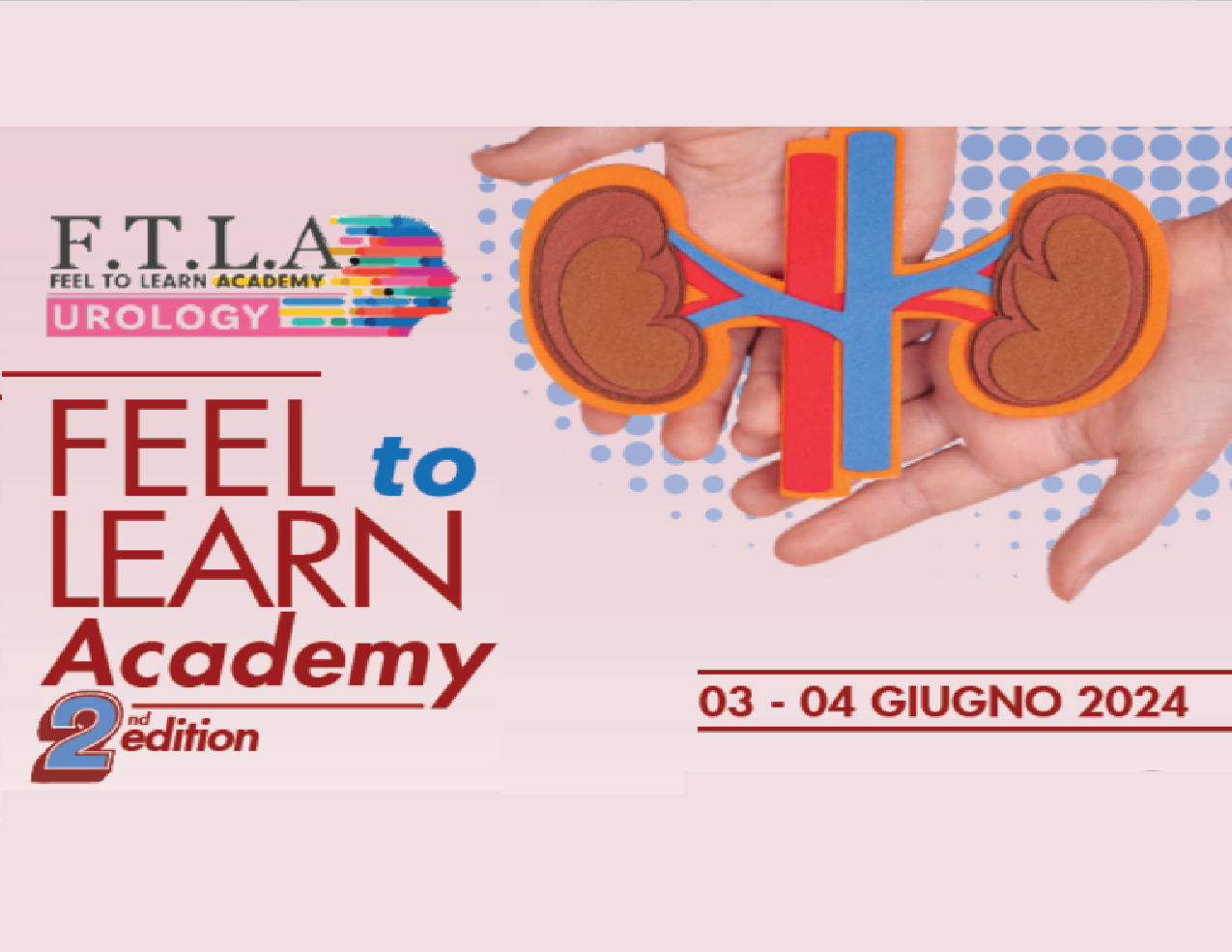 FEEL TO LEARN ACADEMY (IRCCSUR/24)