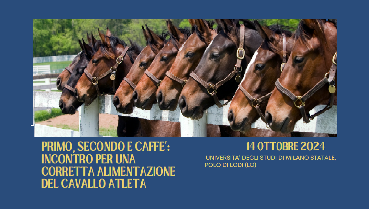 PRIMO, SECONDO E CAFFE’: INCONTRO PER UNA CORRETTA ALIMENTAZIONE DEL CAVALLO ATLETA (CRL_VET/24)