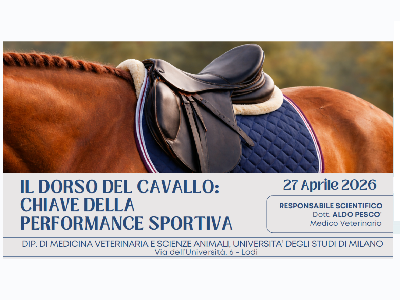 IL DORSO DEL CAVALLO: CHIAVE DELLA PERFORMANCE SPORTIVA (CRL_VET/26)